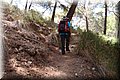 P7238035.JPG