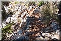 P7238041.JPG
