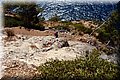 P7238046.JPG