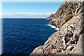 P7238062.JPG