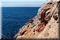P7238068.JPG