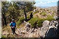 P7238108.JPG