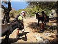 P7300173 (Custom).JPG