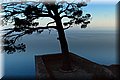 P7308117.JPG