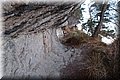 P7308138.JPG