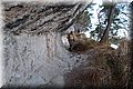 P7308140.JPG