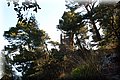 P7308159.JPG