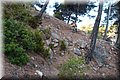 P7308163.JPG