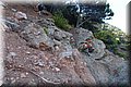 P7308167.JPG