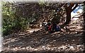 P7308236.JPG