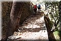 P7308306.JPG