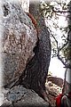 P7308330.JPG