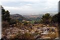 P8068439.JPG