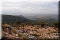 P8068459.JPG