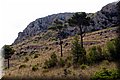 P8068482.JPG