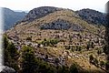 P8068488.JPG