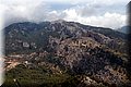 P8068501.JPG