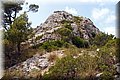 P8068505.JPG