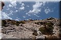 P8088541.JPG