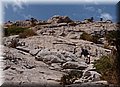 P8088551.JPG