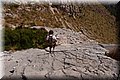 P8088556.JPG