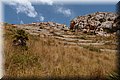 P8088562.JPG