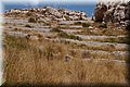 P8088563.JPG
