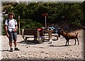 P8088568.JPG