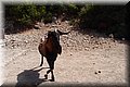 P8088570.JPG