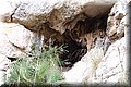 P8088603.JPG