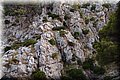 P8088604.JPG