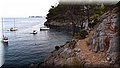 P8088606.JPG