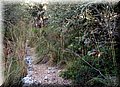 P8138648.JPG