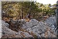P8138650.JPG