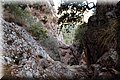 P8138651.JPG