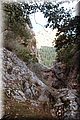 P8138652.JPG