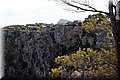 P8138659.JPG