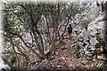 P8138669.JPG