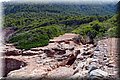 P8138680.JPG