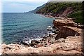 P8138681.JPG