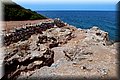 P8138684.JPG