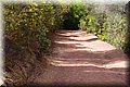 P8138687.JPG
