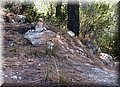 P8138698.JPG