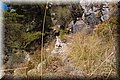 P8138700.JPG