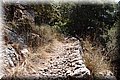 P8138705.JPG