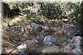 P8138708.JPG