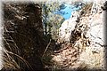 P8138717.JPG