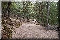P8208733.JPG