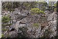 P8208743.JPG