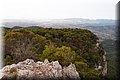 P8208751.JPG